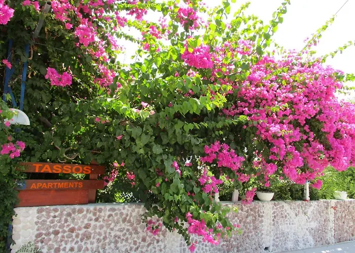 Tassos Apartments