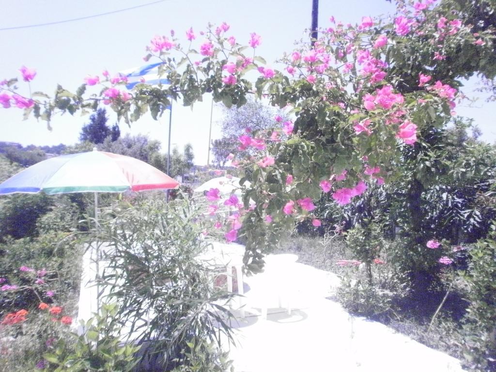 Tassos Aparthotel 2*