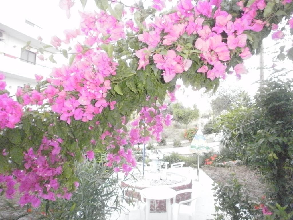 Tassos Aparthotel