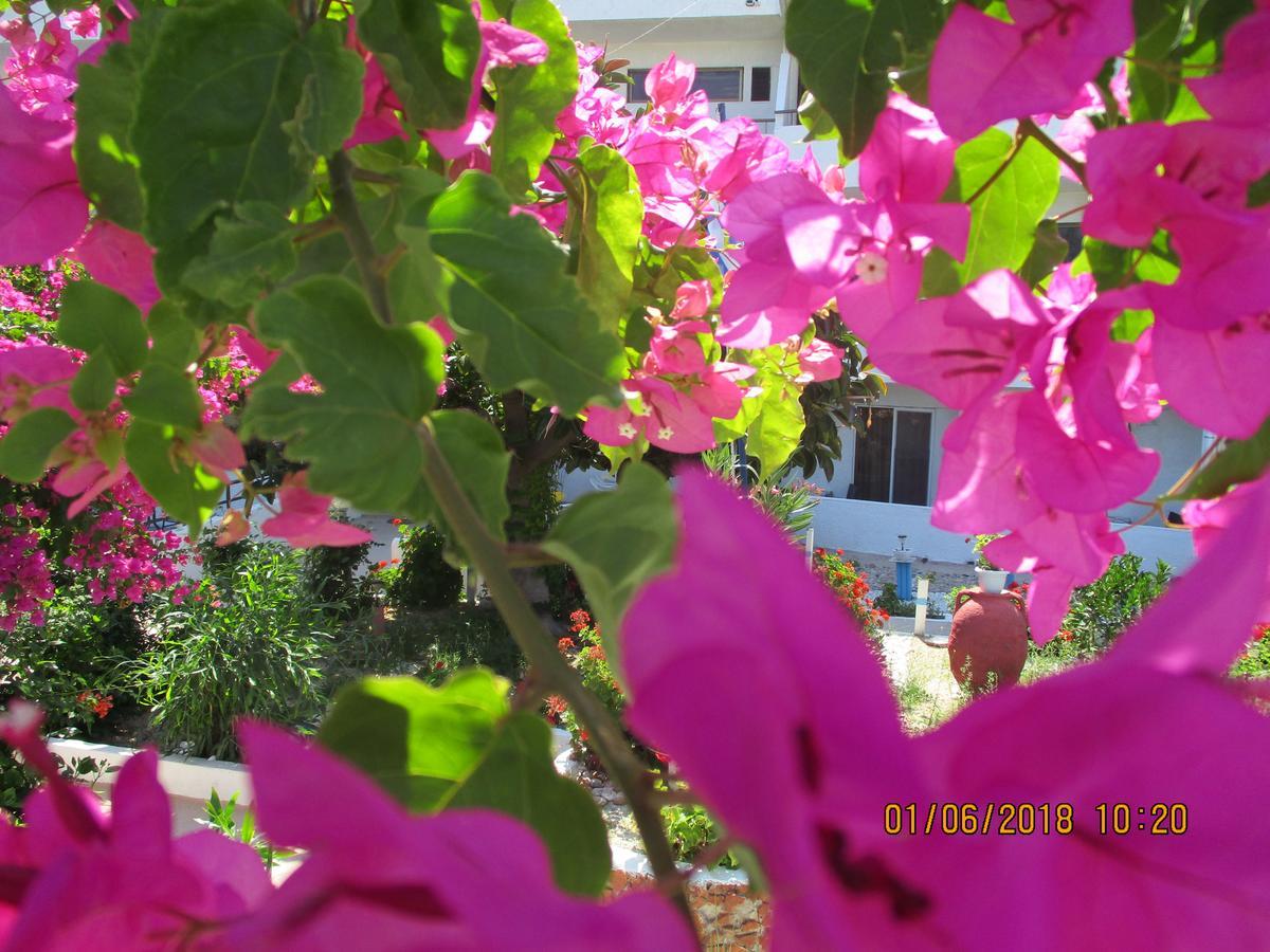 Aparthotel Tassos 2*
