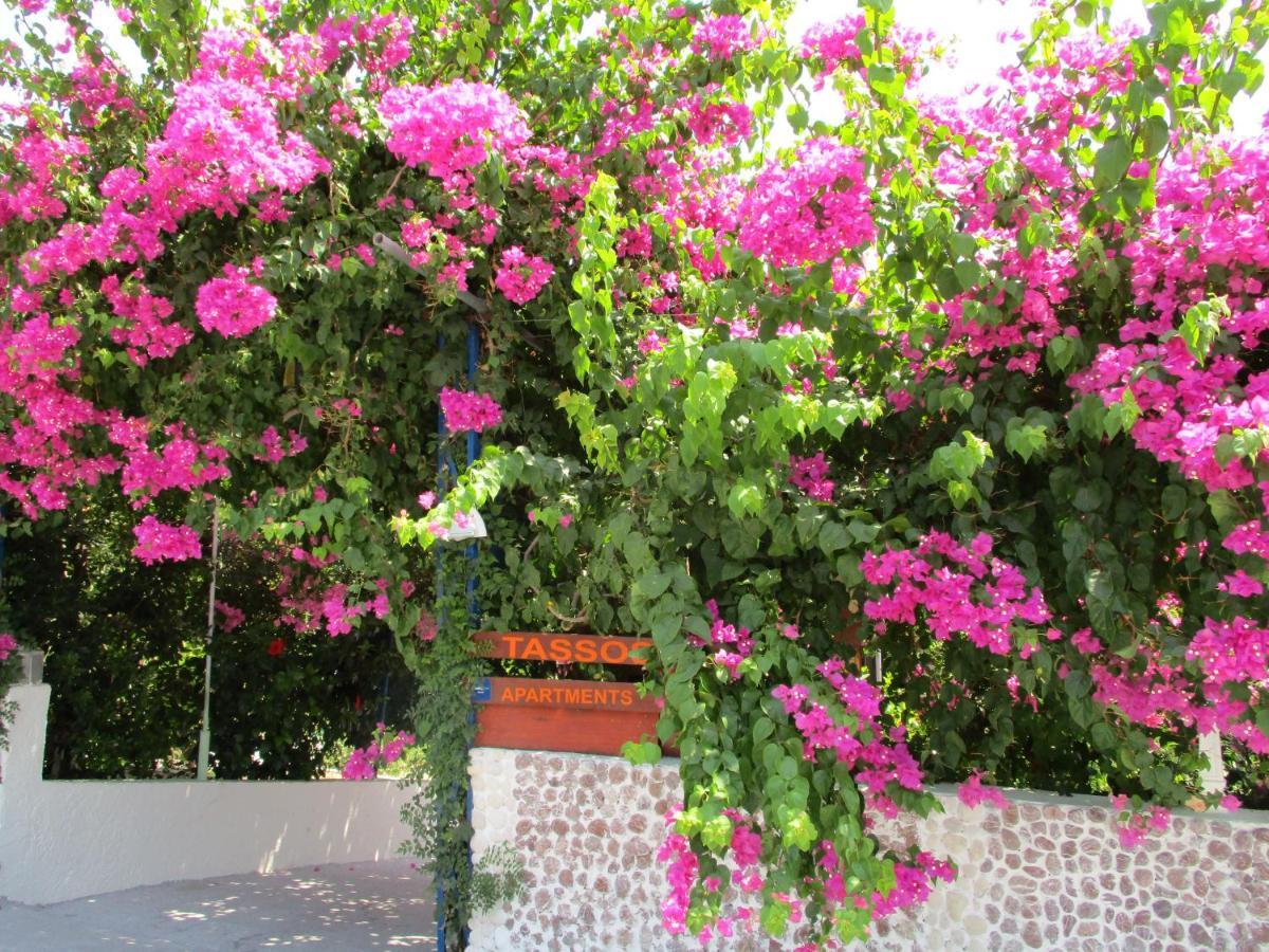 Aparthotel Tassos Faliraki
